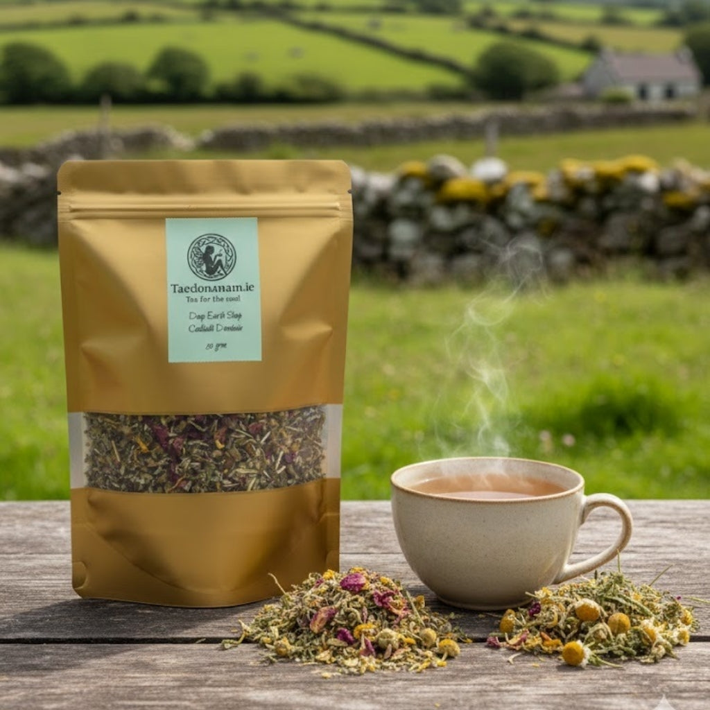 NIGHT — Deep Work & Sleep