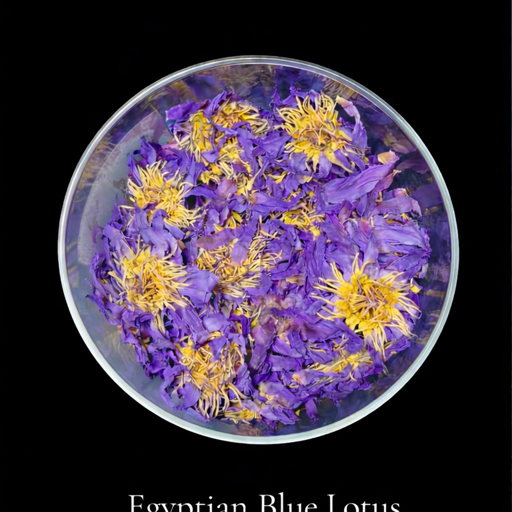 Egyptian Blue Lotus — Relaxant