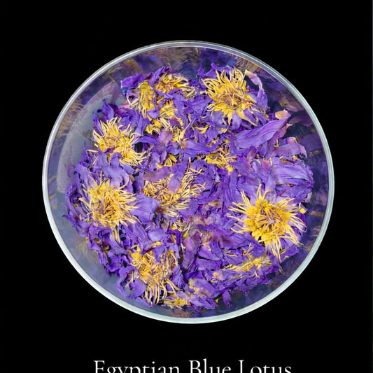 Egyptian Blue Lotus — Relaxant