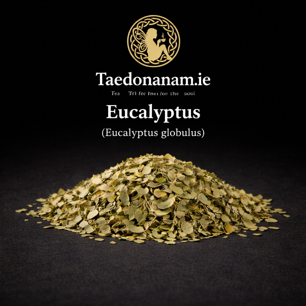 Eucalyptus — Respiratory