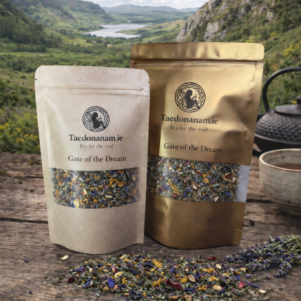 Gate of Dreams | Geata na mBrionglóidí