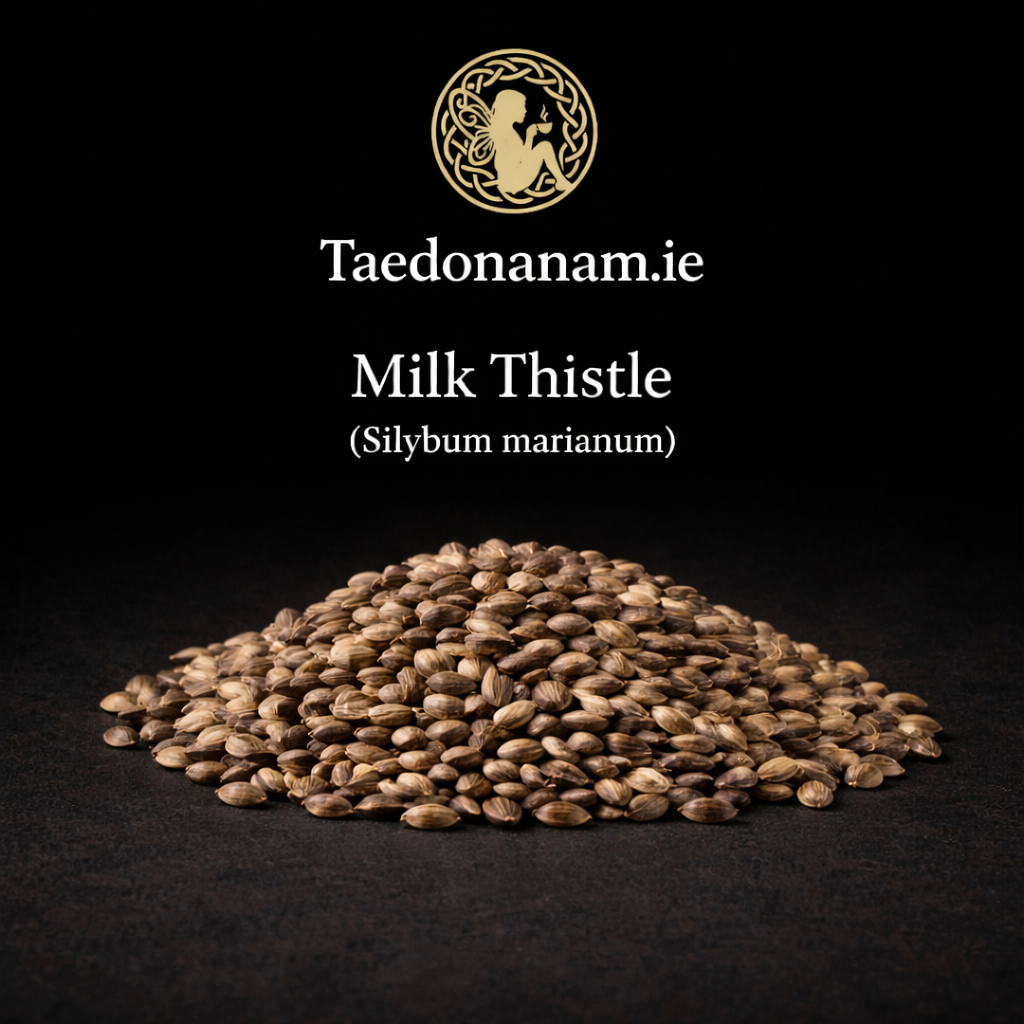 Milk Thistle — Hepatic