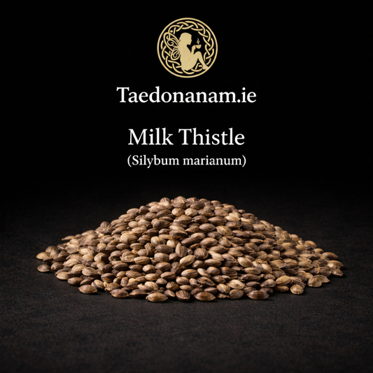 Milk Thistle — Hepatic
