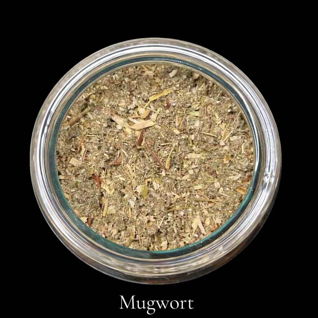 Mugwort — Dreaming (no strong clinical term, keep neutral)