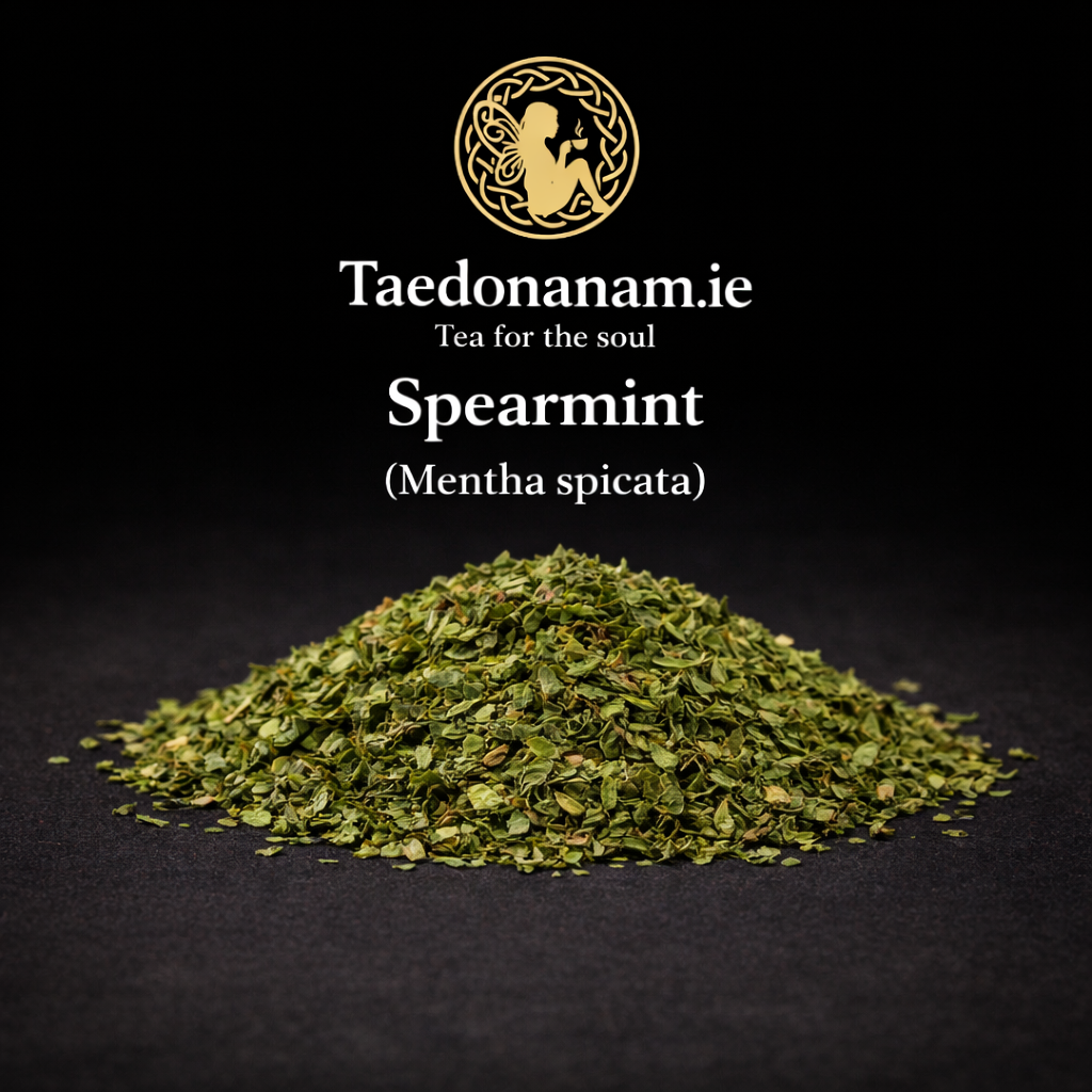 Spearmint — Carminative
