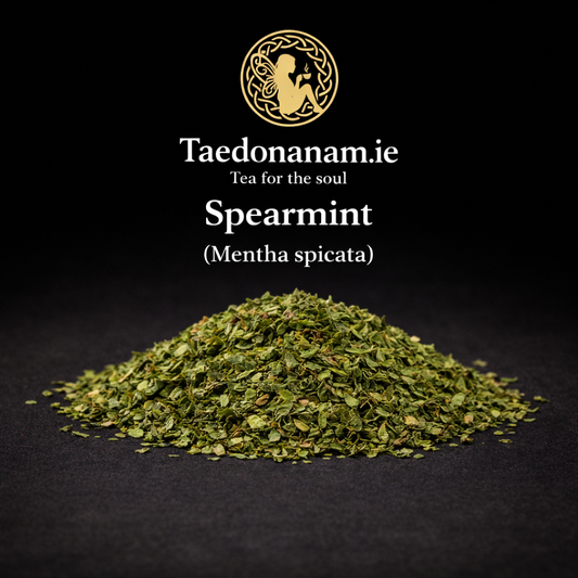 Spearmint — Carminative
