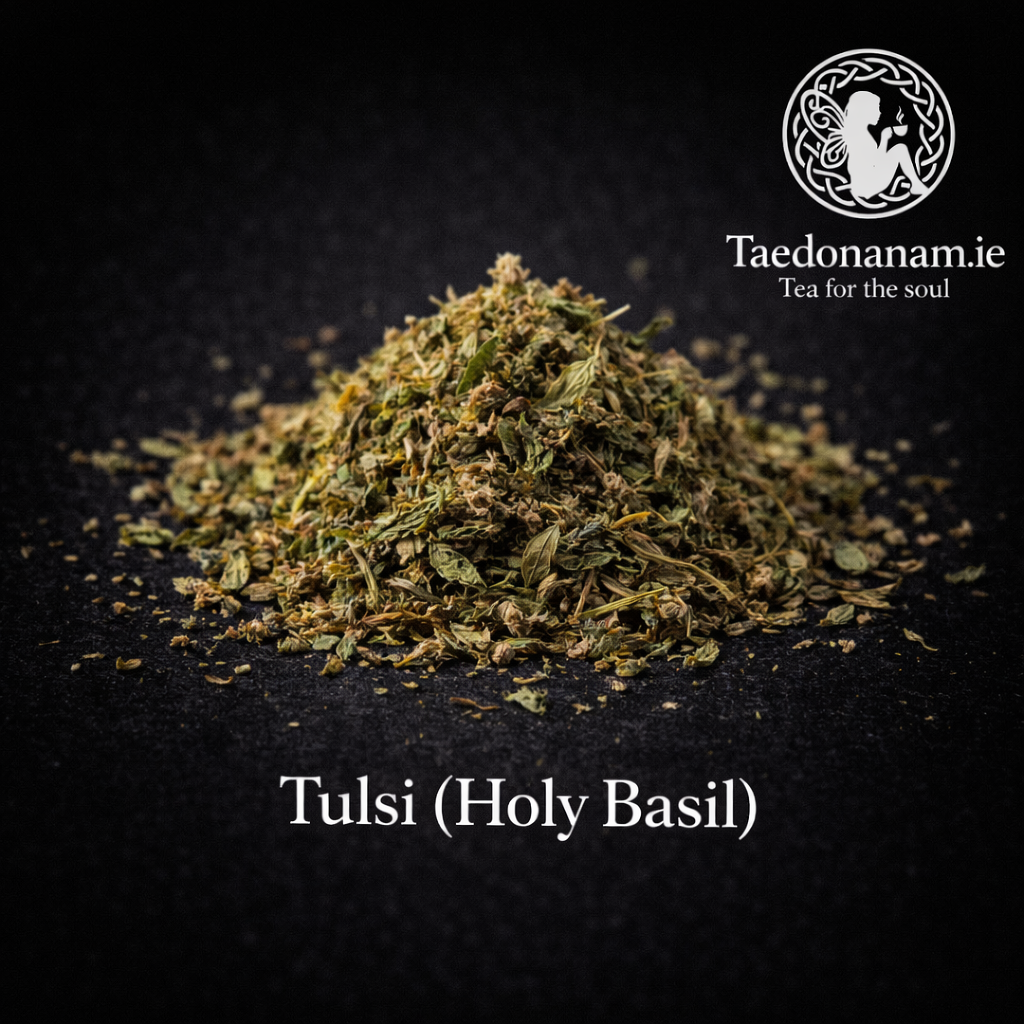 Tulsi (Holy Basil) — Adaptogen