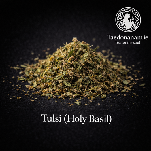 Tulsi (Holy Basil) — Adaptogen