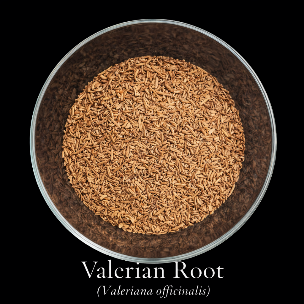 Valerian Root — Sedative