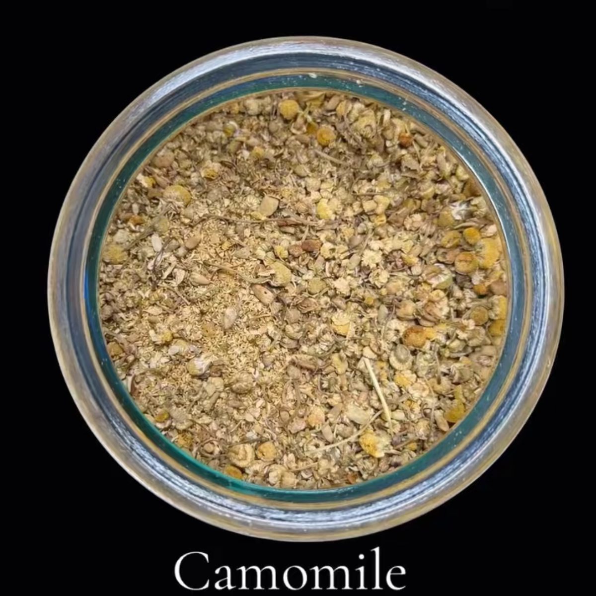 Camomile