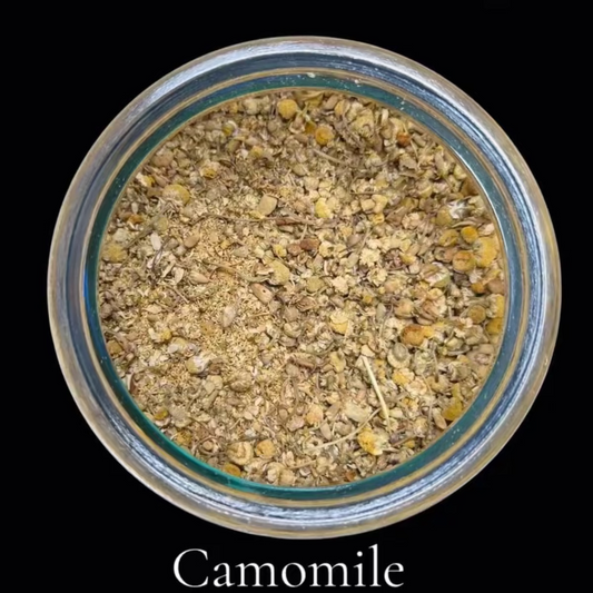 Camomile