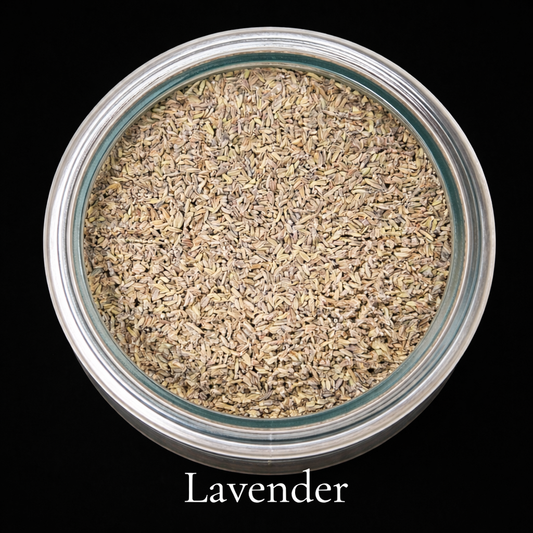 Lavender Flower (Lavandula angustifolia)